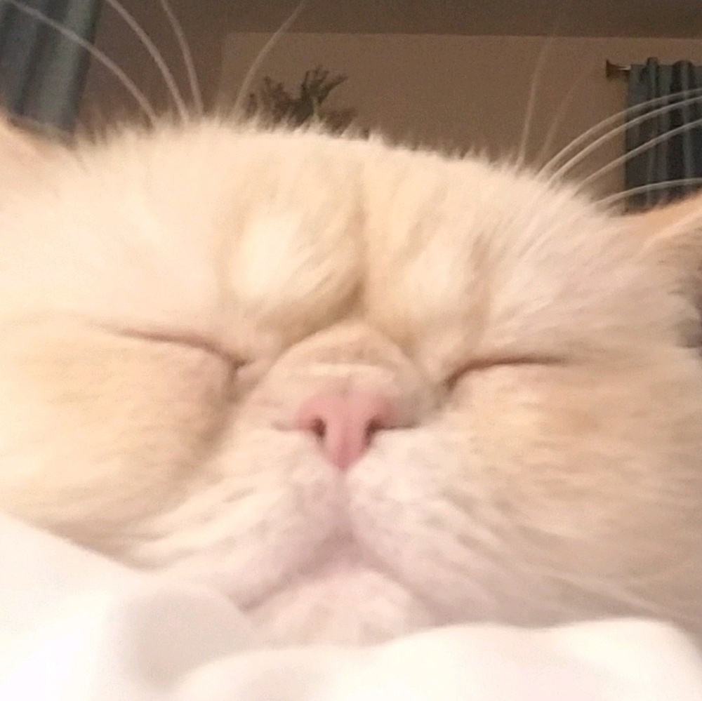 Meet your Posher, Mary